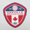 2D Multi-colour Sports Logo Football Shield Soccer Labels Heat Transfer Printing for Teamwear Uniforms Sportswear
