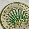 Luxurious Golden Sports Badges