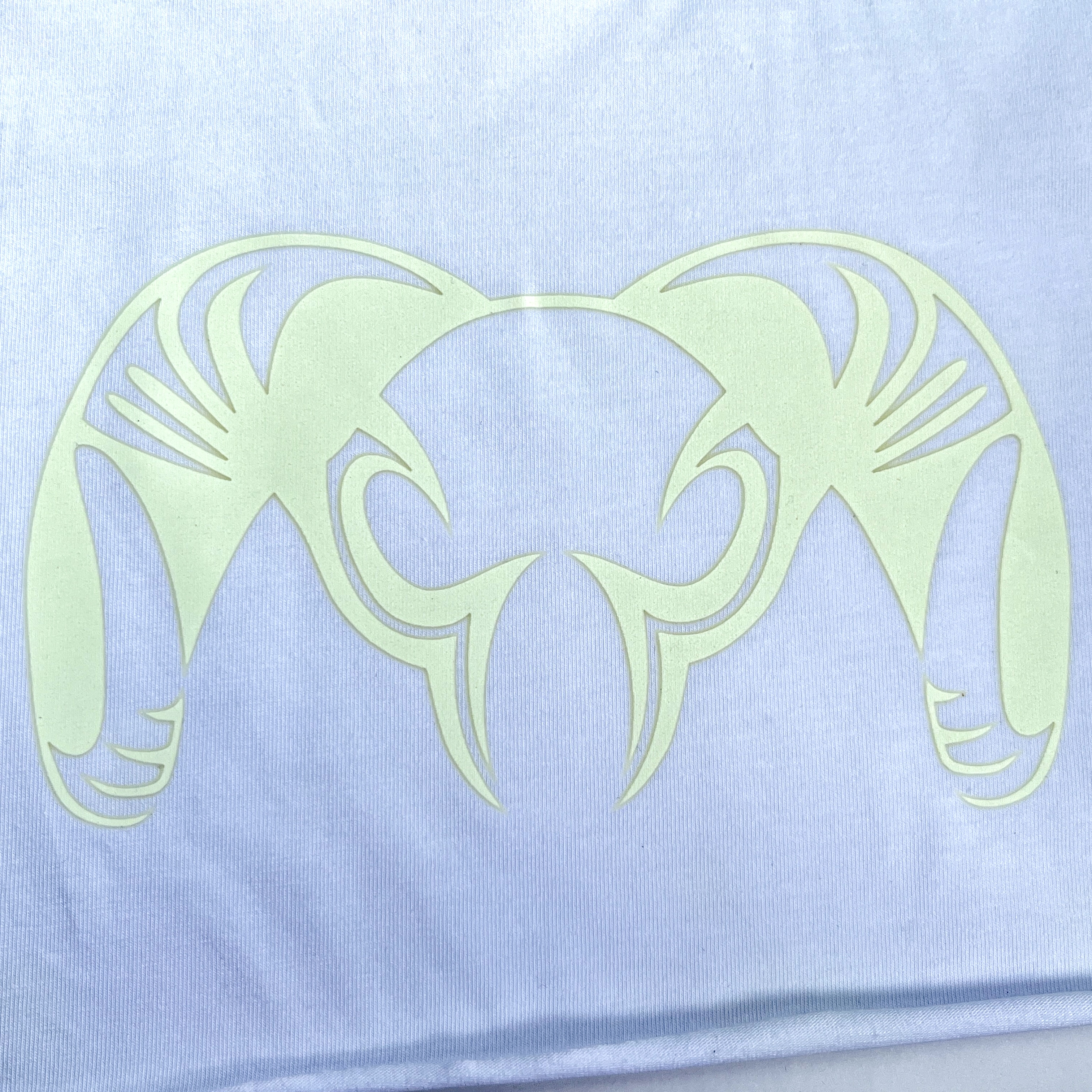 Luminescent Glow-in-dark Animal Heat Transfer Print