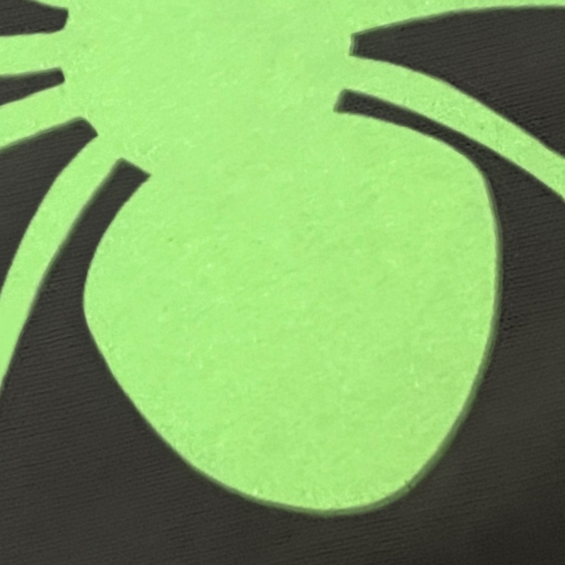 Spider Insect Pattern Glow In-the-dark Heat Transfers for Backpack Decoration