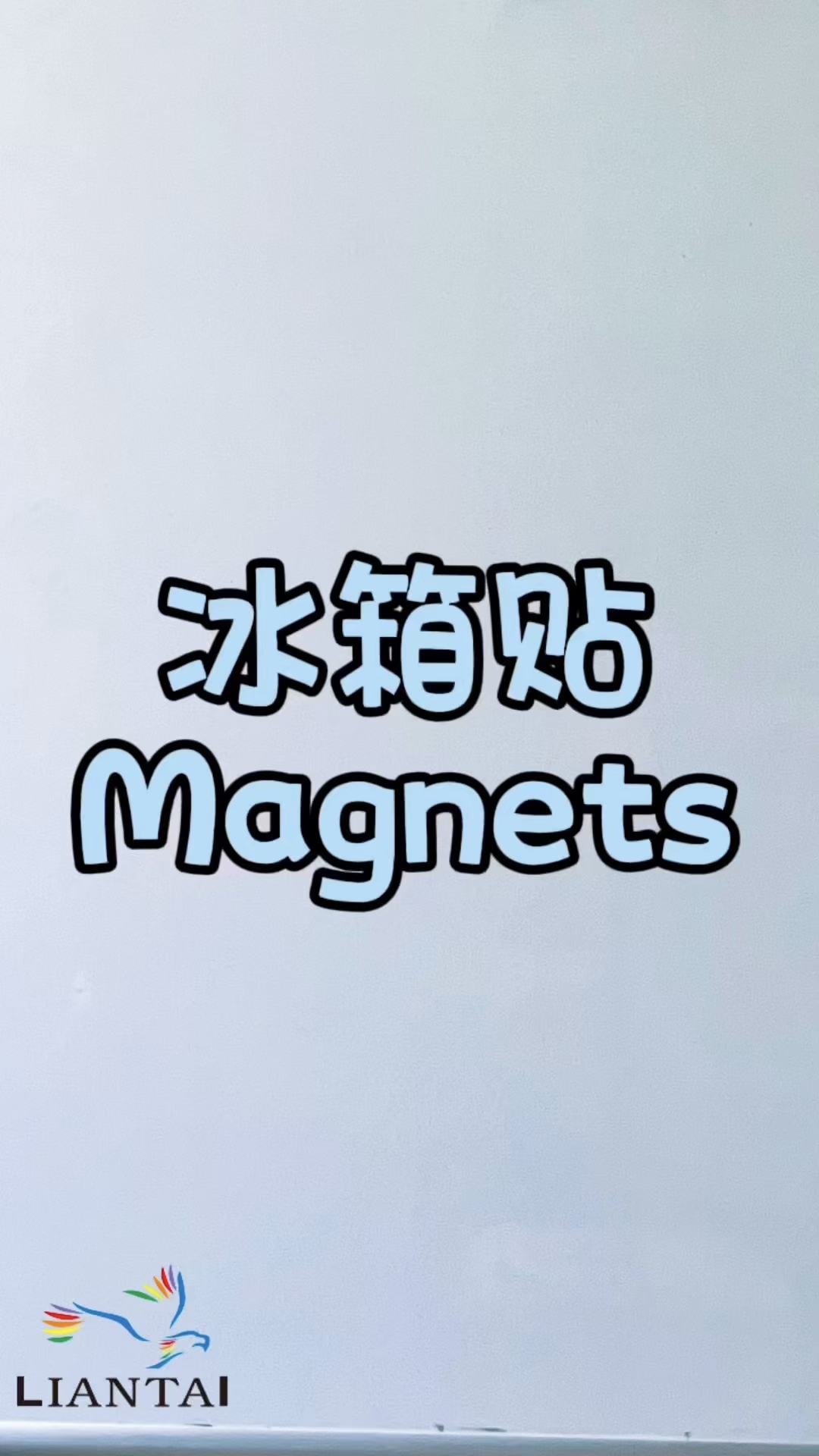 Fridge Magnets