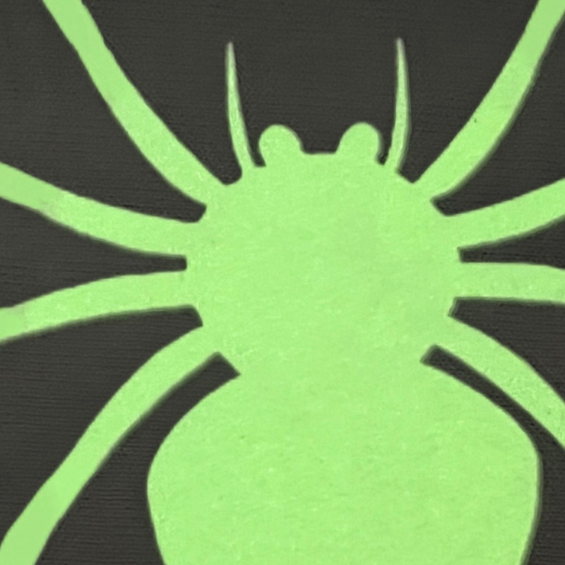 Spider Insect Pattern Glow In-the-dark Heat Transfers for Backpack Decoration