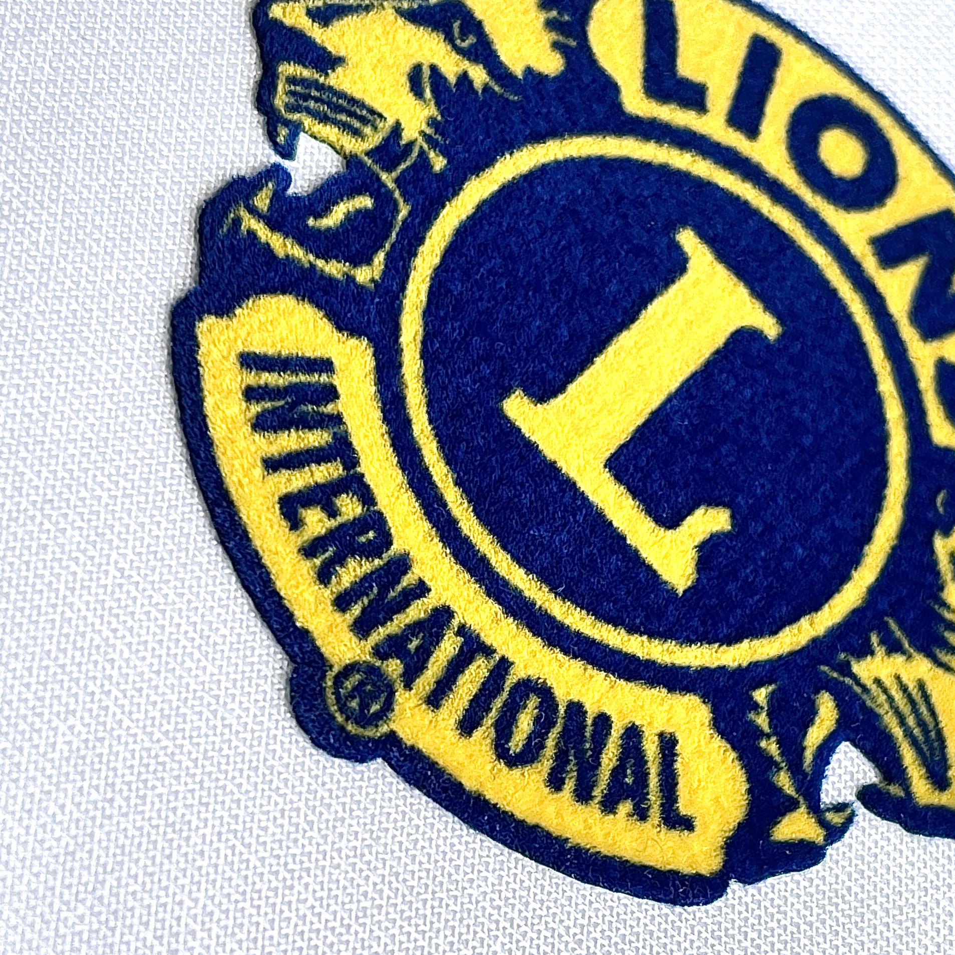 Multicolor Flock Lions Clubs International for Garments