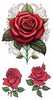 Custom Easy-apply Rose Tattoo Art for Hands