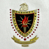 3D Shinny Football Golden Embossed Sports Badges Metallic TPU Patches Metallic High Frequency for Sportswear Garments Uniforms