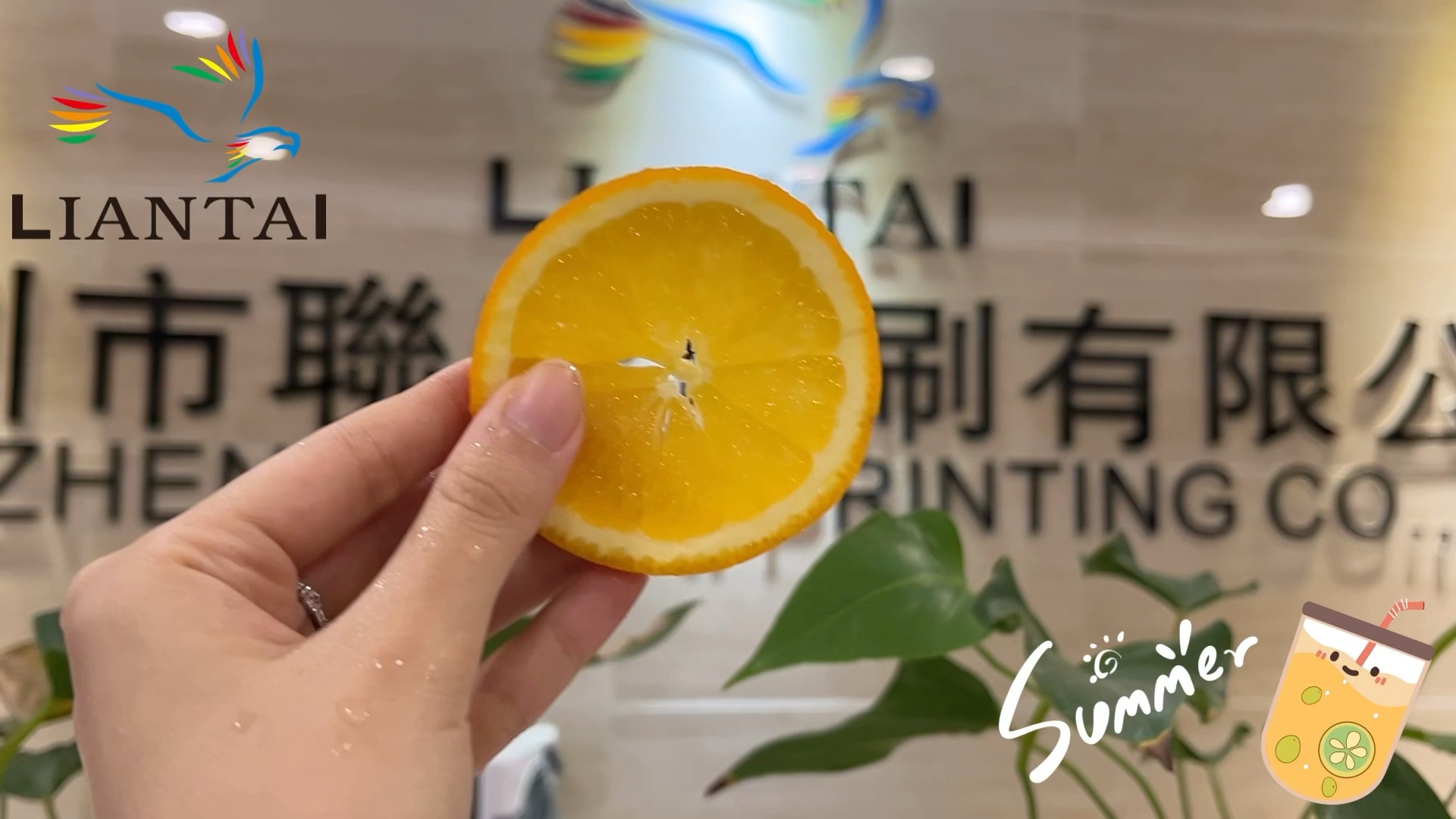 Lemon Flock Patch