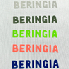 Colored Letter Logo Reflective Heat Transfers for Clothing Design